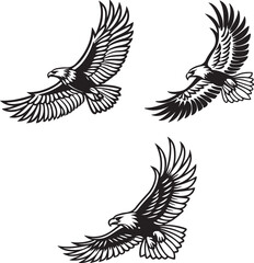 Fototapeta premium Vector illustration of a flying eagle, available for purchase at $1 USD, showcasing its majestic wingspan