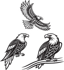 Fototapeta premium Vector illustration of a flying eagle, available for purchase at $1 USD, showcasing its majestic wingspan