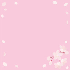 桜の花のバナー背景素材　正方形