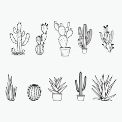 Fototapeta premium vector-style cactus bundle iconic hand-drawn line art illustration elements design