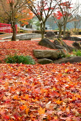 史跡恵日寺日本庭園（福島県）