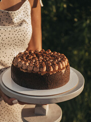 chocolate, cake, food, dessert, sweet, isolated, cream, delicious, brown, pastry, slice, white, pie, bread, snack, bakery, brownie, sweets, baked, fresh, tasty, plate, sugar, gourmet, close-up