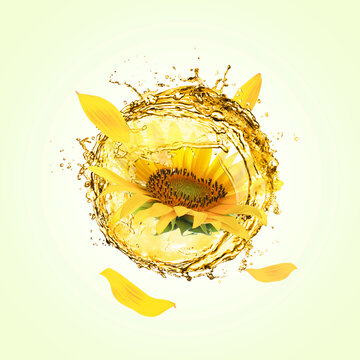 Cooking oil splashes, sunflower and flying petals on light green background
