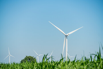 Wind turbines stand tall in a lush green field under a bright blue sky