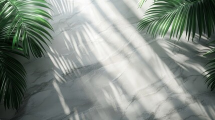 Green Palm Leaves on White Marble Background