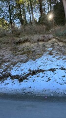 Obraz premium Sunlight and snowfall 