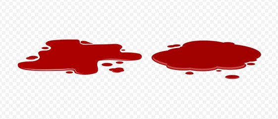 Blood spilled or paint. Two puddle of blood. Fresh blood. Puddle of red paint. Site of occurrence. Crime scene.	
