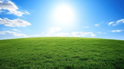 Fototapeta premium An expansive grassy plain stretching into the distance under a blue sky.