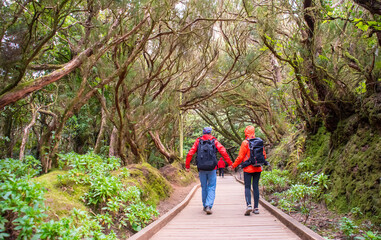 Obraz premium Sporty tourist couple on hiking trail in Anaga Rural Park - ancient rain forest on Tenerife, Canary Islands.