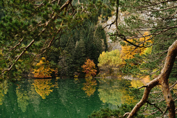 Beautiful lake with turquoise water in autumn mountains in cloudy day, Black Lake - Crno Jezero in Durmitor National park, Zabljak town, Montenegro country. Dense coniferous forest and fresh air.