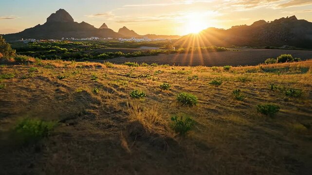 Island, bathed in the glow of sunset, organic farm and the black rocks, photography, rule of thirds, golden hour, sunset light, sun flare, landscape photography, 