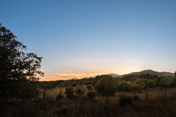 Obraz premium An immense landscape at sunset where the fields are dark with the plants illuminated by the golden light. There is a mountain range in the background and it is getting dark, leaving a magical panorama