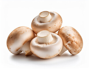 champignon mushrooms isolated on white background