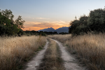 Warm scene of a rural road created by offroads recedes into the horizon. It marks a path surrounded...
