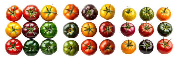 A Variety of Isolated Tomatoes on a Transparent Background