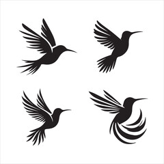 Obraz premium Hummingbird Hovering silhouette 