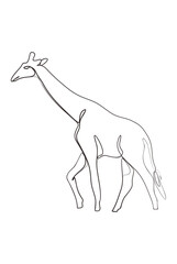 giraffe one line drawing art