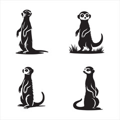 Obraz premium Standing Meerkat silhouette In black color simple and clean vector illustration