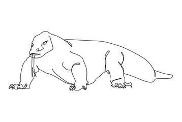 Fototapeta premium komodo dragon is endemic animal from indonesia in the southeast asia