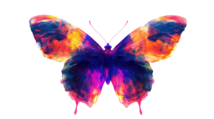 A vibrant and colorful butterfly illustration featuring a stunning array of colors, showcasing the beauty of nature's art in abstract form.
