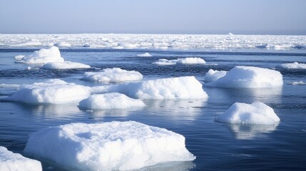Obraz premium Numerous ice formations float on the tranquil blue water under a clear sky