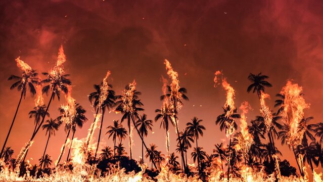 Intense flames engulf palm trees during the Los Angeles wildfires of 2025, showcasing the devastation of wildfires on the landscape