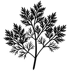 black and white silhouette of a tree