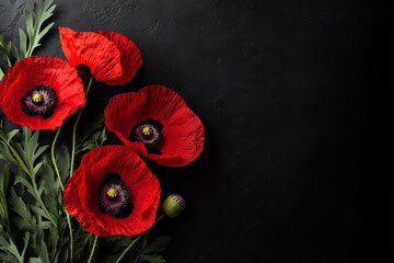 Red poppy flowers on a dark background with copy space. Remembrance Day, Anzac Day, Armistice Day symbol. Lest We Forget. 