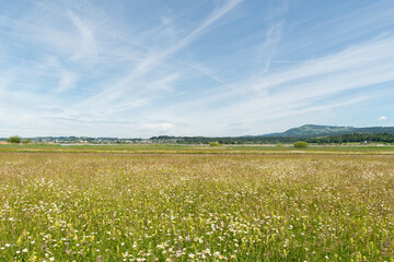 Natural scenery in Wangen-Lachen in Switzerland
