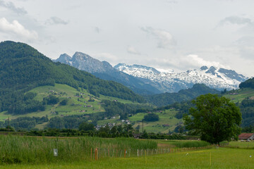 Fototapeta premium Natural scenery in Wangen-Lachen in Switzerland