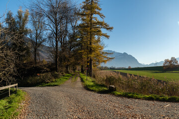 Majestic landscape on a sunny day in Schaan in Liechtenstein