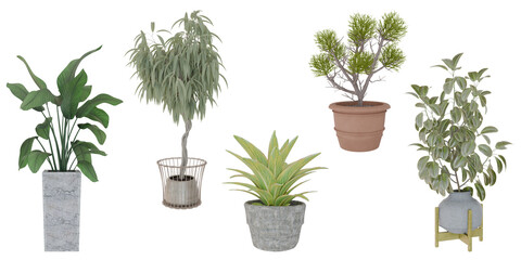 Five potted indoor plants on white background, home decor, website design
