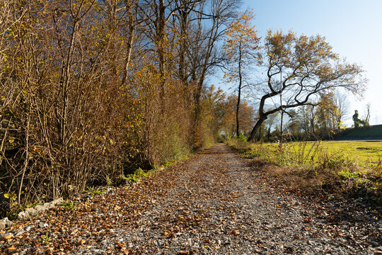 Majestic landscape on a sunny day in Schaan in Liechtenstein