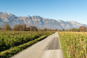 Majestic landscape on a sunny day in Schaan in Liechtenstein