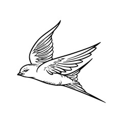 Fototapeta premium a line art drawing of flying bird design illustration