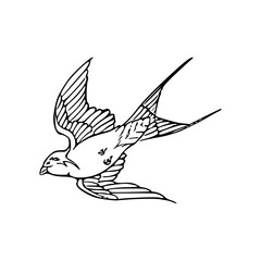 a line art drawing of flying bird design illustration