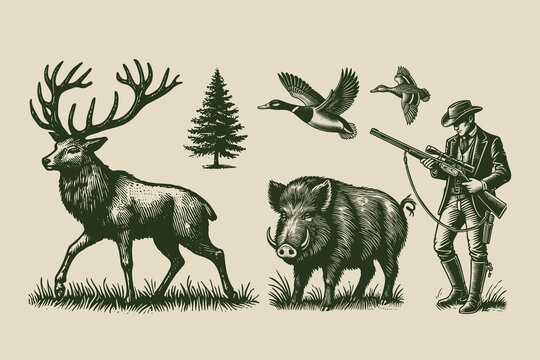Vintage hunting set with deer, boar, ducks, hunter, and tree in engraving