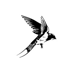 a silhouette of flying bird design illustration