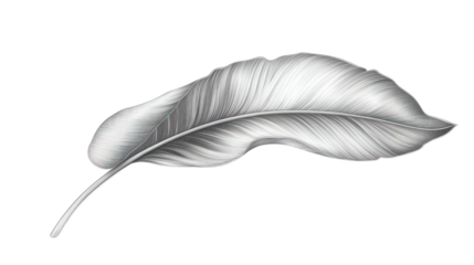 A delicate, silver feather rests elegantly, showcasing intricate details and textures, perfect for nature-themed projects and artistic designs.