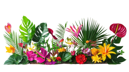 A vibrant arrangement of tropical flowers and lush greenery showcasing nature's beauty. Perfect for enhancing designs or themes related to nature.