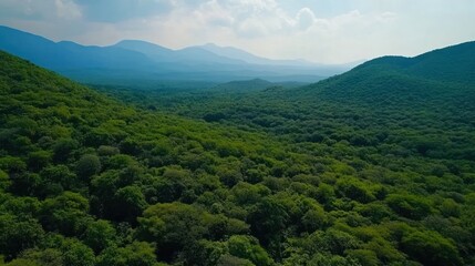 Fototapeta premium Lush Green Forested Hills Landscape Aerial View with Misty Mountain Ranges in the Distance