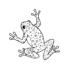 a black and white drawing of a spotted frog