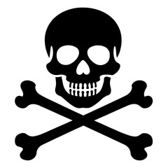 skull and crossbones icon