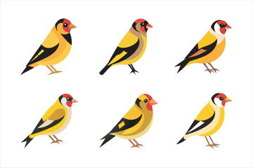 Fototapeta premium Goldfinch Vector Bundle - Charming Bird Illustrations. perfect for nature, wildlife, and bird-themed projects.