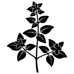 Obraz premium branch with leaves