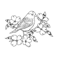 a line art drawing of elegant sparrow on floral illustration
