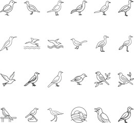 Diverse Collection of Simple Line Art Bird Illustrations
