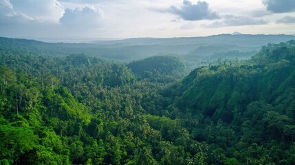 Lush green tropical forest landscape with rolling hills and a cloudy sky panoramic view