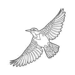 a line art drawing of a flying sparrow illustration