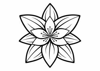 Simple line drawing of a five-petaled flower with minimalist design
